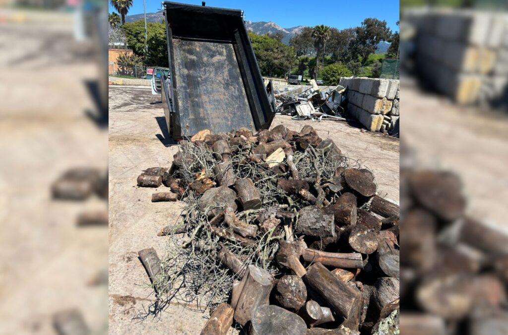 A Hauling 24/7 expert providing green waste removal in Goleta, CA, showcasing the care and reliability we bring to every job. Green Waste Removal near me.